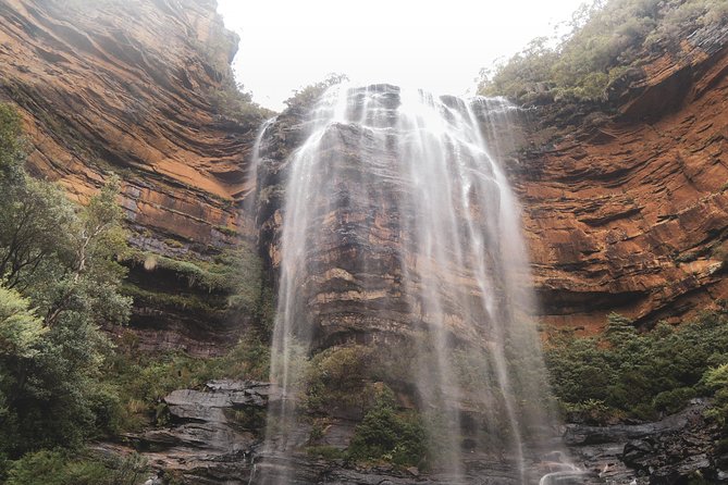 Blue Mountains Private Charter - Glenbrook National Park Wildlife: Kangaroos and Koalas on Your Terms