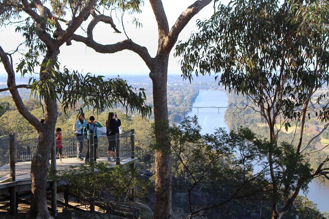 Blue Mountains Private Charter - Stop 1: Wentworth Falls and Jamison Valley Views From Trail Level