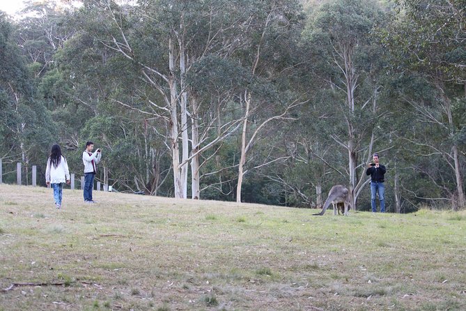 Blue Mountains Private Charter - Stop 2: Leura for Village Charm and Lunch Options