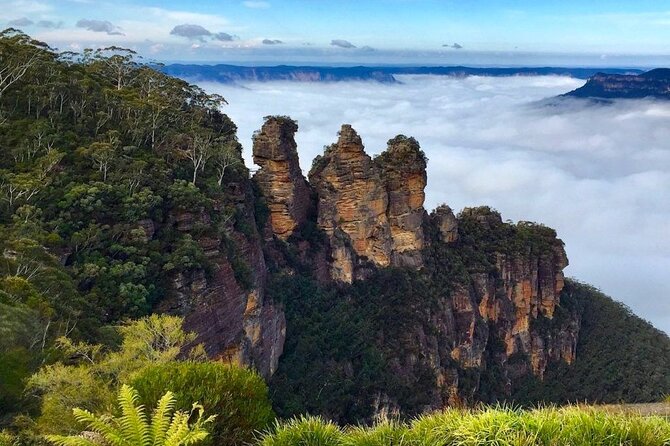 Blue Mountains Private Hiking Tour from Sydney - Three Sisters and Honeymoon Bridge: iconic forms with movement