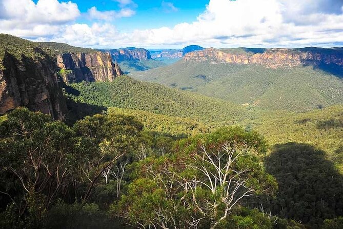 Blue Mountains Private Hiking Tour from Sydney - Dryridge Estate winery finish: a relaxed end point (with extra costs)