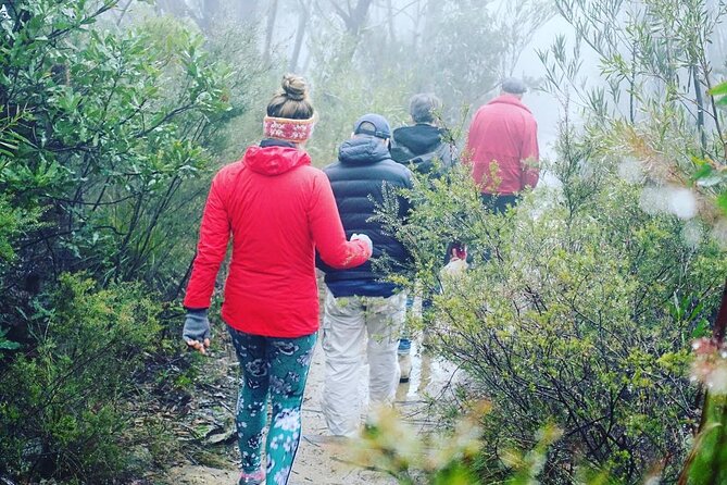 Blue Mountains Private Hiking Tour from Sydney - What a 10-hour day feels like, and how to plan your energy