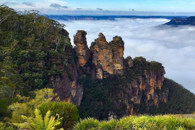 Blue Mountains Private Tour from Sydney - Quick hits
