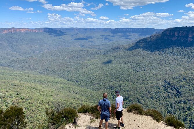 Blue Mountains Private Tour From Sydney, & Featherdale Aussie Animal Park Option - Starting at Sydney Harbour Bridge: a smart warm-up