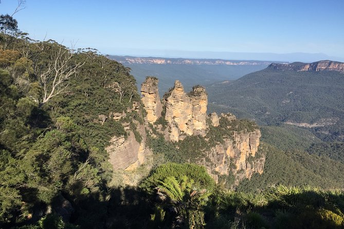 Blue Mountains Private Tour From Sydney, & Featherdale Aussie Animal Park Option - Sydney Harbour Bridge viewpoints to Lincoln’s Rock: settling into the scenery