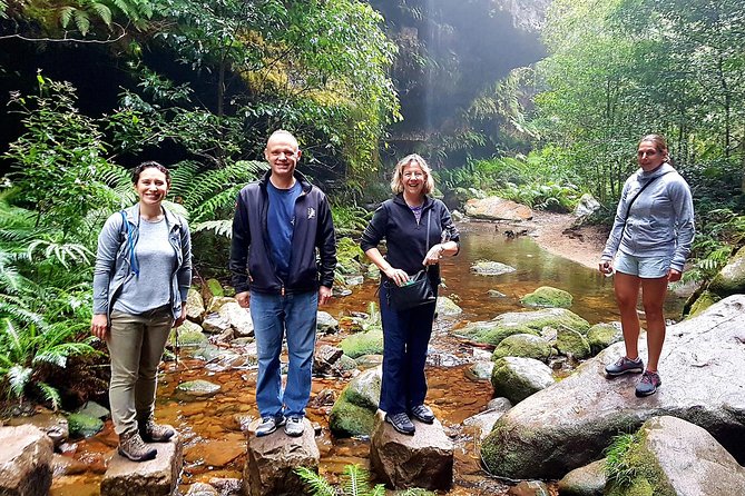 Blue Mountains Private Tour including Wildlife Park - Featherdale Wildlife Park: your close-up pass to Australia’s animals