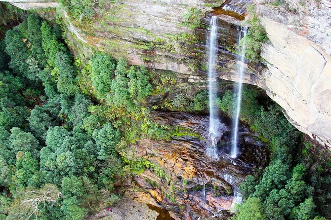 Blue Mountains Private Tour including Wildlife Park - Price and Logistics: what $502.07 really buys you