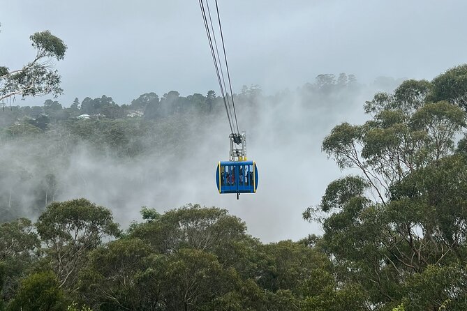 Blue Mountains Private Tour & Scenic World Included - Key things that make this Blue Mountains private tour work