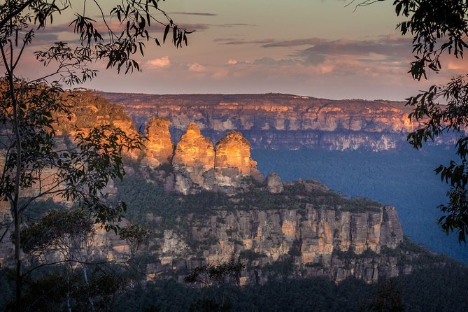 Blue Mountains Private Tour with Kangaroo and Koala Experience - Key things that make this tour work