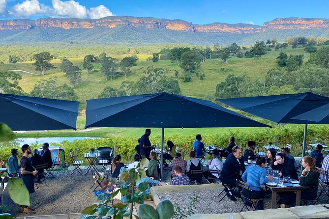 Blue Mountains Private Tour with Kangaroo and Koala Experience - Blue Mountains National Park: morning tea and real time outdoors