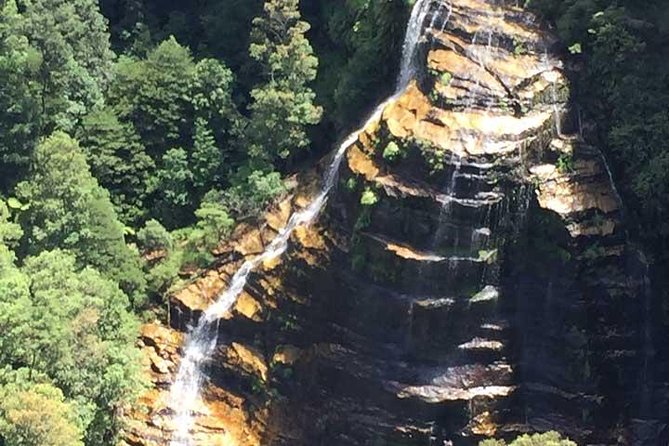 Blue Mountains Private Tour with Kangaroo and Koala Experience - Wentworth Falls: the “if you feel like walking” stop