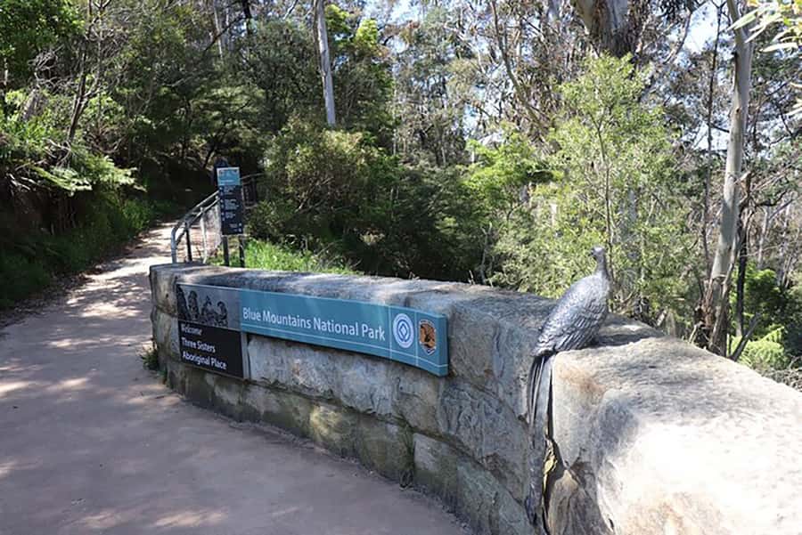 Blue Mountains: Private Tour with Wildlife and River Cruise - Who this tour is best for (and who should reconsider)