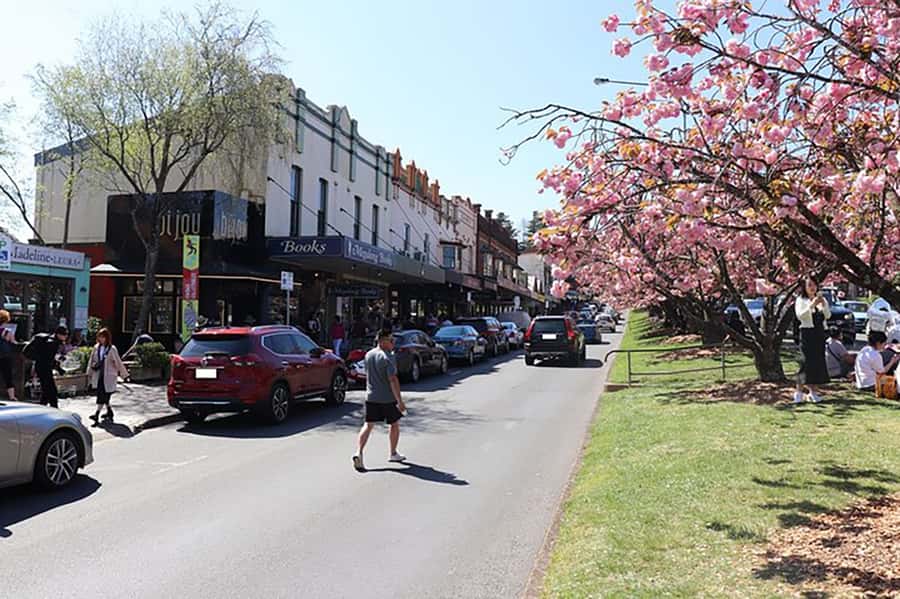 Blue Mountains: Private Tour with Wildlife and River Cruise - Three Sisters and the Skyway area: where the day crystallizes