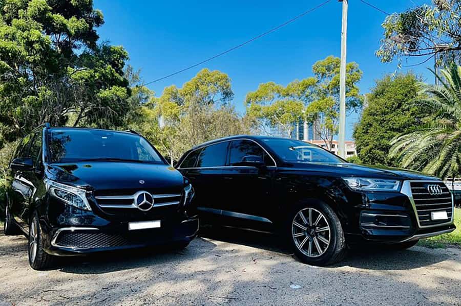 Blue Mountains: Private Tour with Wildlife and River Cruise - Katoomba Falls and Leura: short stops that still earn their time