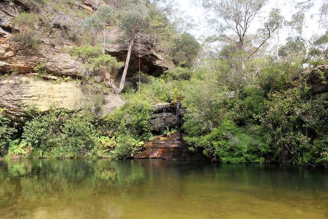 Blue Mountains Private Tour - Govetts Leap: scale, cliffs, and the view-it-from-here strategy