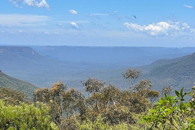 Blue Mountains Small Group Tour w/optional Scenic World & Lunch - Price ($135.56) and what you actually get for your money