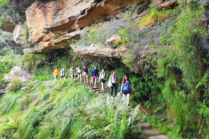 Blue Mountains Small Group Tour with Waterfall Walk & Fresh Lunch - Entering the Blue Mountains From Sydney in a Small Group