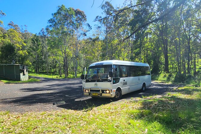 Blue Mountains Small Group Tour with Waterfall Walk & Fresh Lunch - Lunch and Aussie Snacks: What You Get Between Lookouts