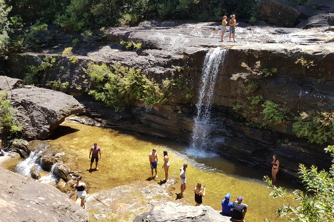 Blue Mountains Small Group Tour with Waterfall Walk & Fresh Lunch - Group Vibe and the Role of Your Guide