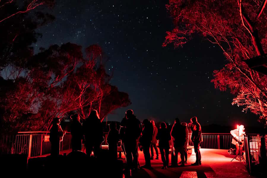Blue Mountains: Stargazing with a Telescope and Astronomer - Telescope time in 90 minutes: what you can realistically expect to see