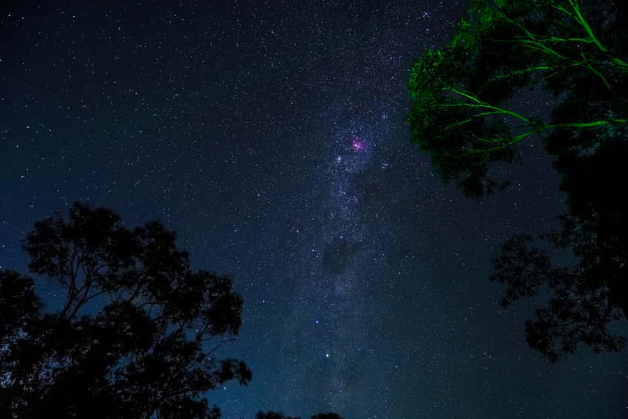 Blue Mountains: Stargazing with a Telescope and Astronomer - Who this tour suits best (and who should skip it)