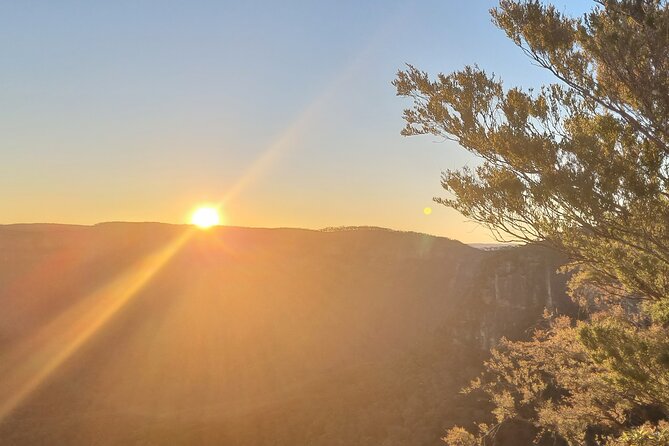 Blue Mountains Sunset Tour | See Kangaroos & Koalas (Private Tour) - Price and Logistics: What $591.73 Per Person Buys You