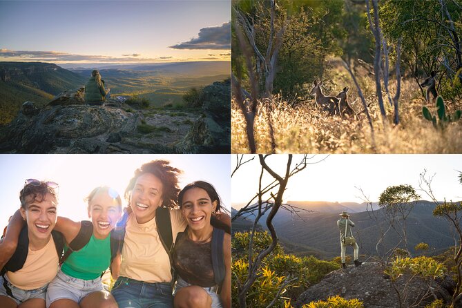 Blue Mountains Sunset Tour with Kangaroo Sightings from Sydney - Kangaroo sightings: your best odds, not a guarantee