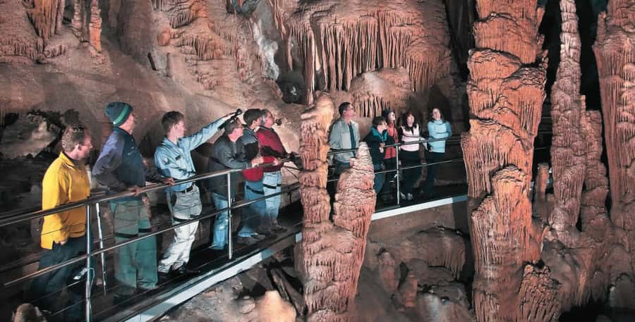 Blue Mountains Tour from Sydney - Full Day Private Tours - Key highlights you’ll care about