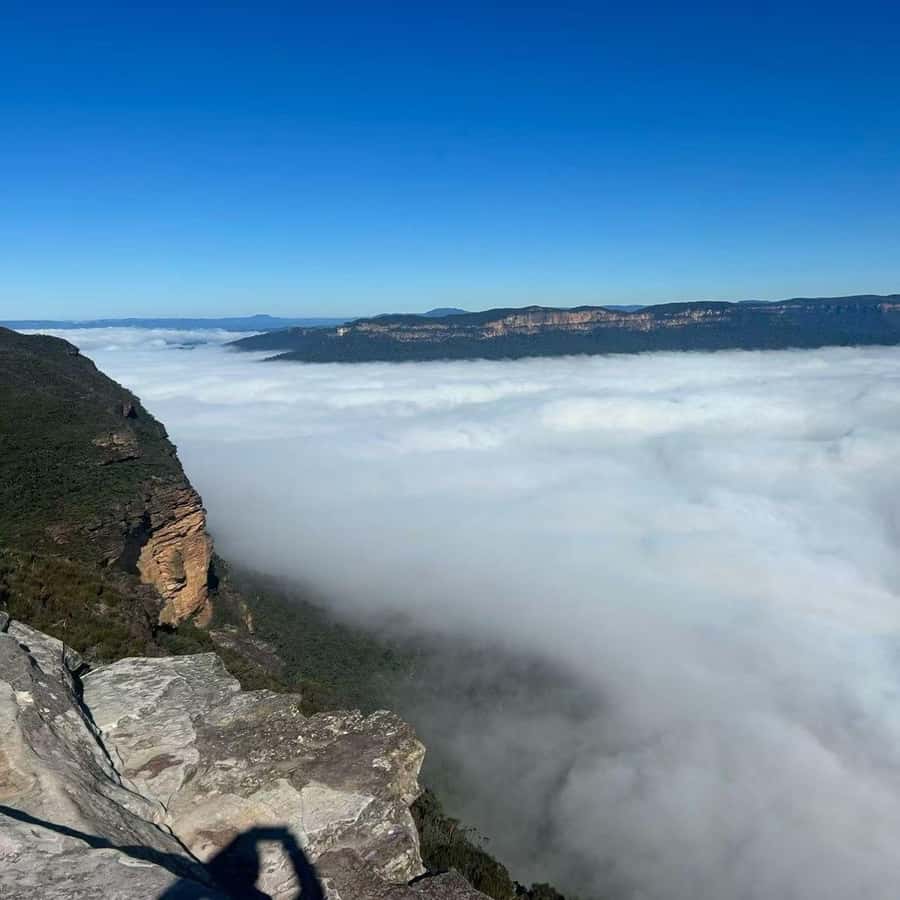 Blue Mountains Tour, Katoomba Falls & Cockatoos Small Group - Your Day Starts Easy: Door-to-Door Pickup and a Mercedes Sprinter Ride
