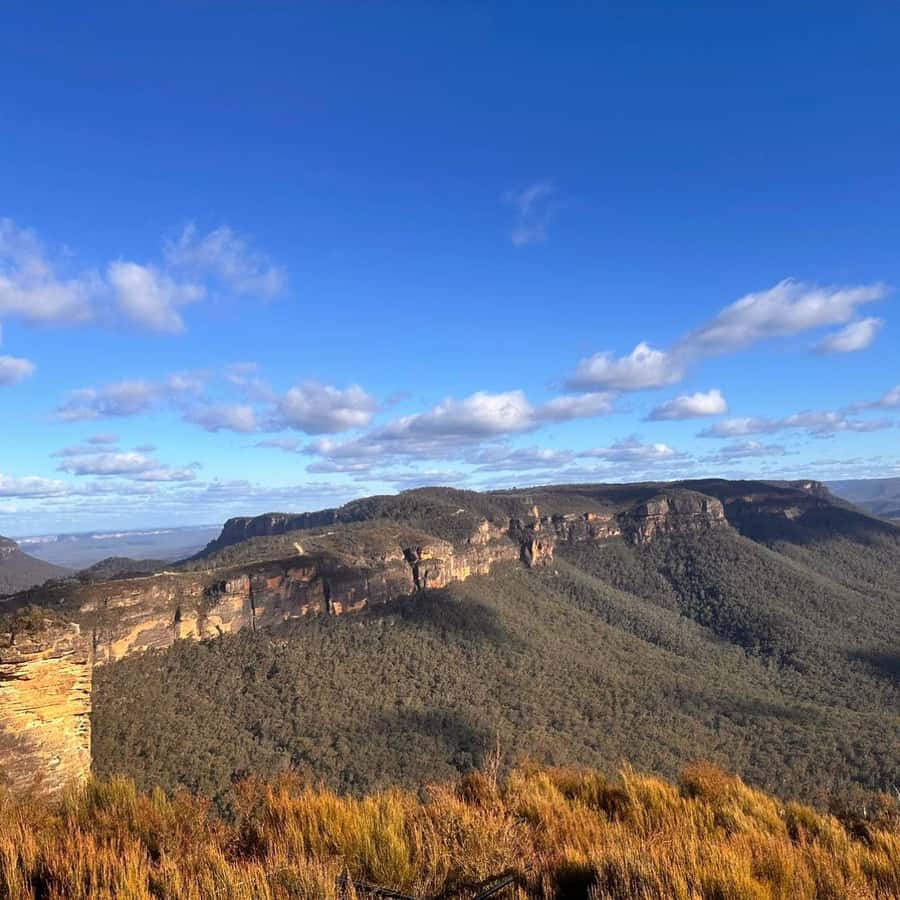 Blue Mountains Tour, Katoomba Falls & Cockatoos Small Group - Price and Value: Why $121 Can Be a Good Deal for a 10-Hour Day
