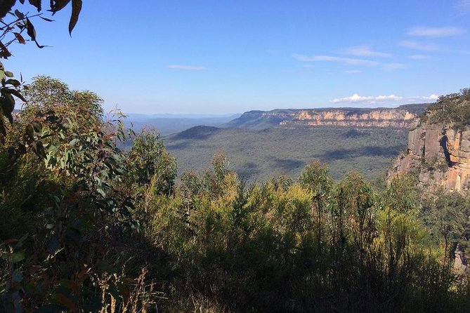 Blue Mountains Tour PRIVATE with Wildlife Park and River Cruise - Leura Village Stop: Shops and a Reset (About 20 Minutes)