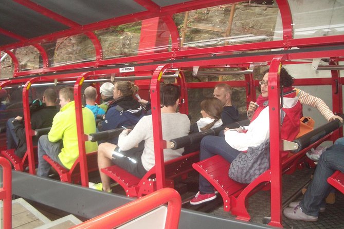 Blue Mountains Tour PRIVATE with Wildlife Park and River Cruise - Scenic World: A View-Focused Pause With Optional Tickets