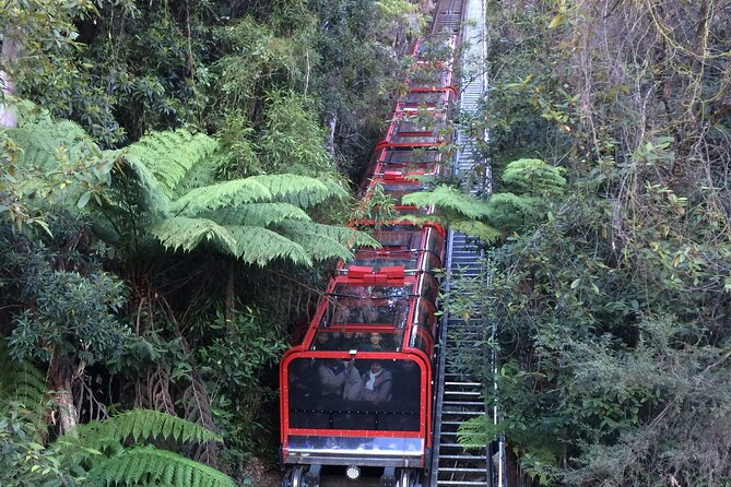Blue Mountains Tour PRIVATE with Wildlife Park and River Cruise - Wildlife Park Time: Koalas, Kangaroos, and Aussie Animals Up Close