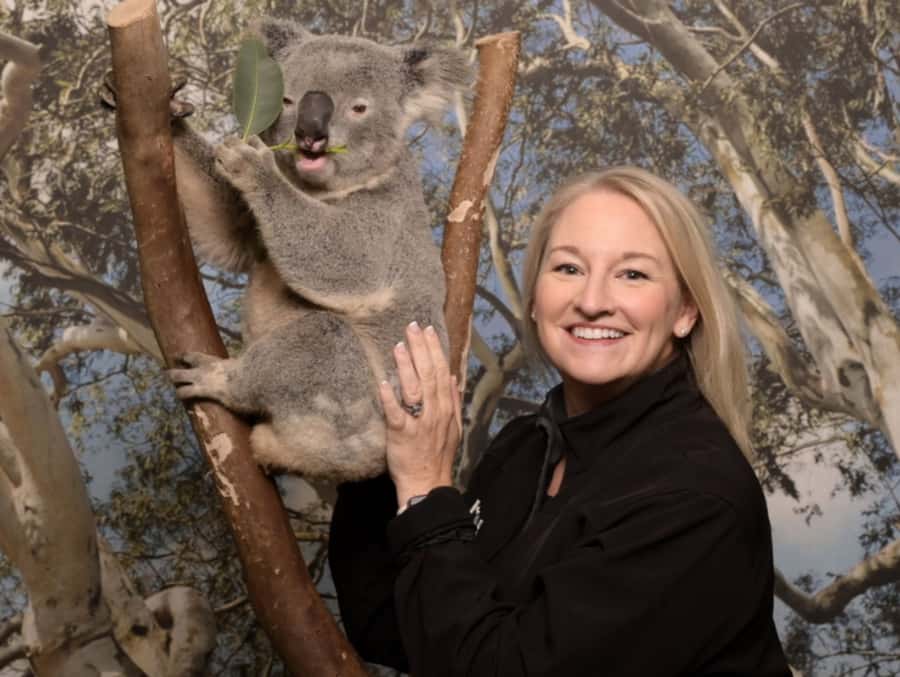 Blue Mountains Tour - Small grp, Koala, Kangaroo & Waterfall - Wentworth Falls: your first taste of the views