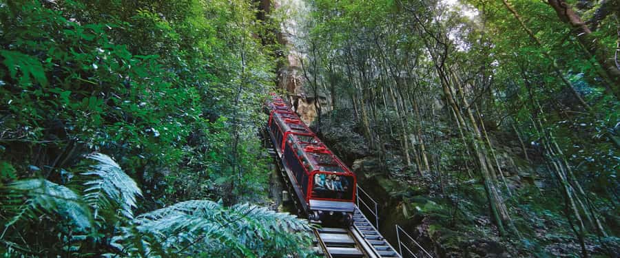 Blue Mountains Tour - Small grp, Koala, Kangaroo & Waterfall - A second look at Wentworth Falls: time to slow down a bit