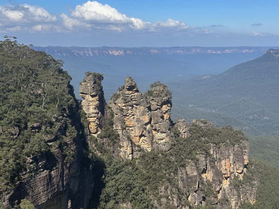 Blue Mountains Tour w/Lunch: Scenic World, Zoo & Koala Photo - Sydney Zoo with a free koala digital photo: animals without the all-day commitment