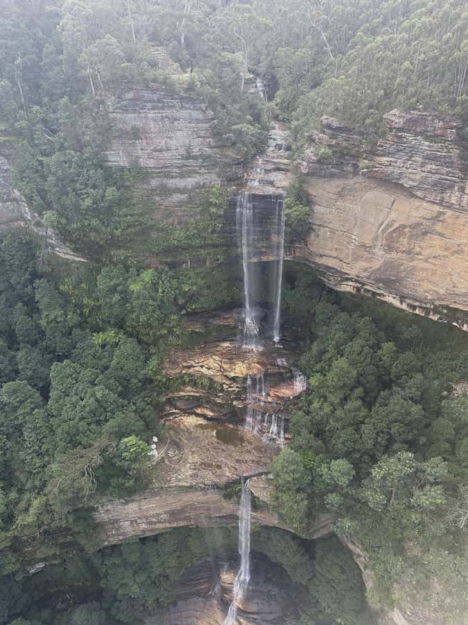 Blue Mountains Tour w/Lunch: Scenic World, Zoo & Koala Photo - The harbour ferry back to Circular Quay: a scenic end that feels like a reward