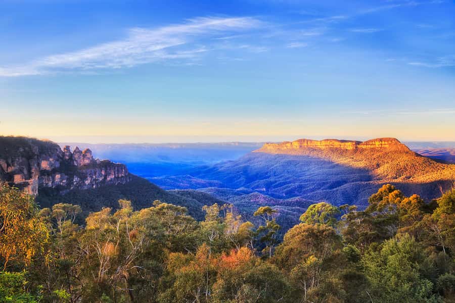 Blue Mountains Tour with Scenic World, Zoo&Bilingual Driver - From Sydney pickup to Blue Mountains reality check