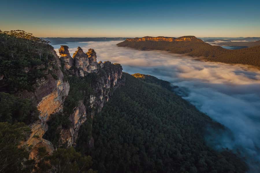 Blue Mountains Tour with Scenic World, Zoo&Bilingual Driver - Featherdale Wildlife Park: up-close Australian animals with a time limit
