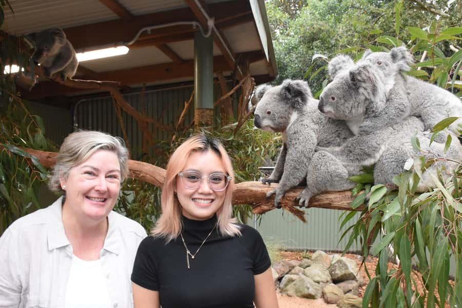 Blue Mountains Tour with Scenic World, Zoo&Bilingual Driver - Leura village free time: pretty streets, real-world choices
