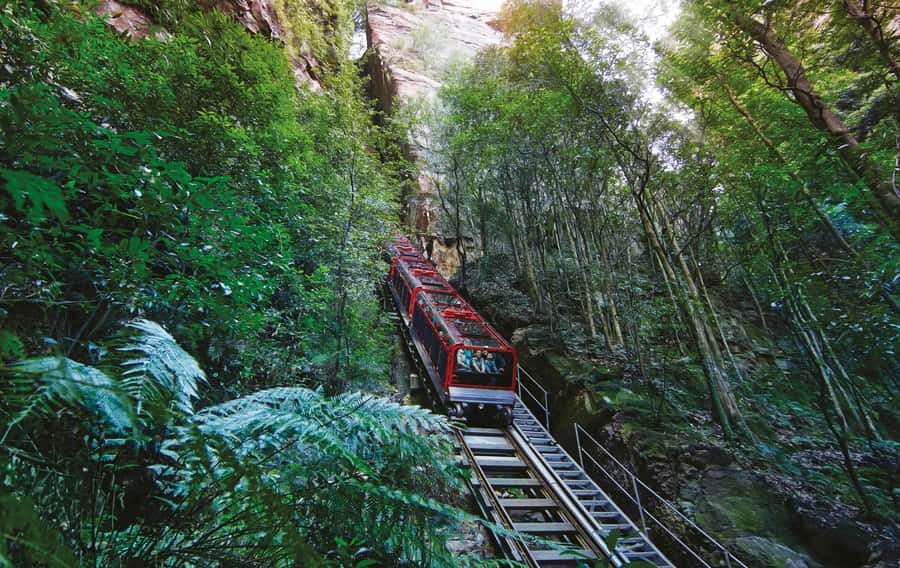 Blue Mountains Tour with Scenic World, Zoo&Bilingual Driver - The bilingual driver-guide: why it matters more than you think