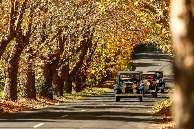 Blue Mountains Vintage Cadillac Tour with Local Guide - A 2-hour private Cadillac loop that fits real sightseeing