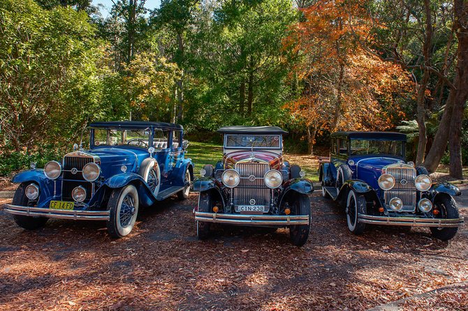 Blue Mountains Vintage Cadillac Tour with Local Guide - The Carrington Hotel pass: old-world Blue Mountains atmosphere