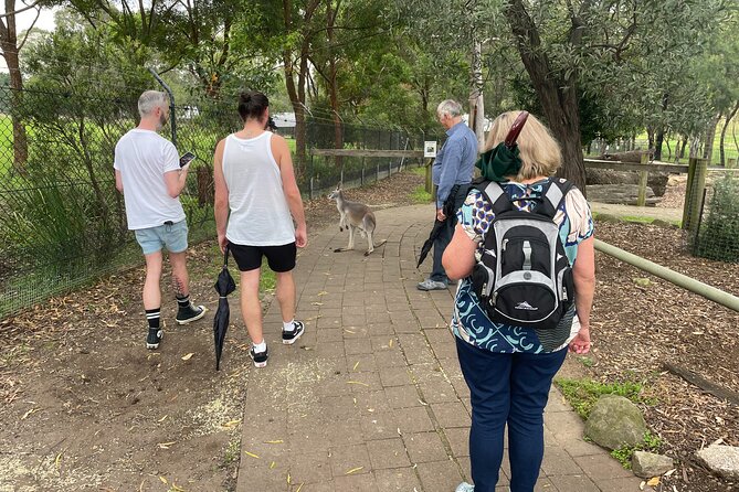 Blue Mountains Wildlife Full-Day Sights and Hiking from Sydney - The Evans Lookout to Govetts Leap stretch: a real hike plus a smart picnic