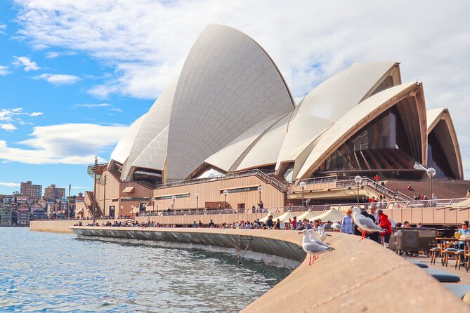 Bondi & Sydney Sights Trike Tour 1.5hrs - Harbour Bridge Ride: 1923 Craft, Real-World Views, and That Famous Breeze