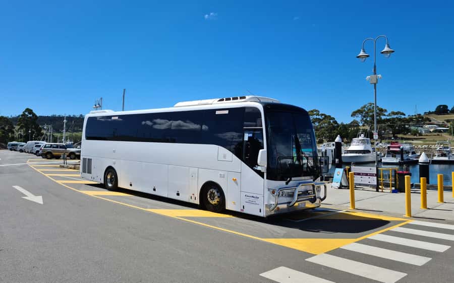 Bonorong & Richmond: Shore Excursion (Private Tour) - Why This Private Tour Works So Well in Real Life