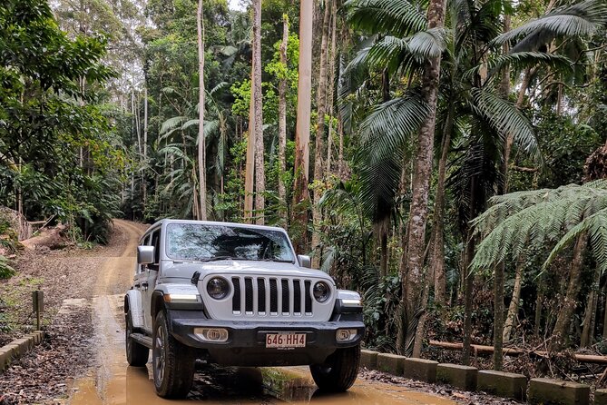 Booloumba Falls & Booloumba Creek Adventure, Conondale Nat. Park - Key Things You’ll Be Glad About