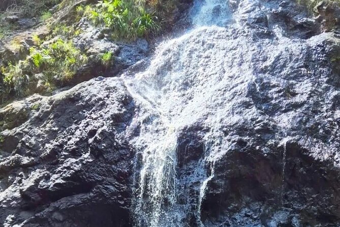 Booloumba Falls & Booloumba Creek Adventure, Conondale Nat. Park - 4WD Riding Comfort: Thrills, Trails, and Your Suitability