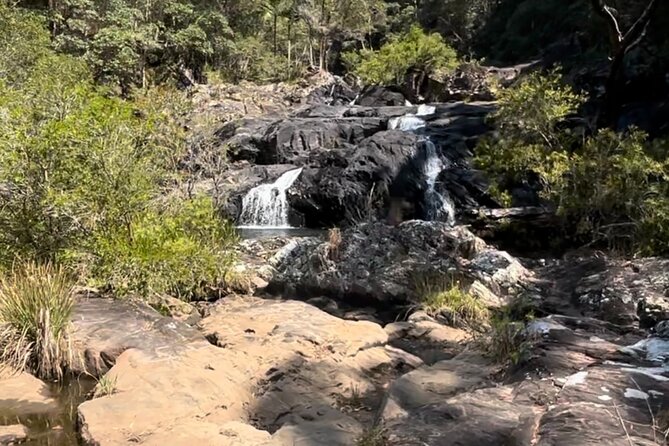 Booloumba Falls & Booloumba Creek Adventure, Conondale Nat. Park - Price and Value: Is $552.28 Worth It?