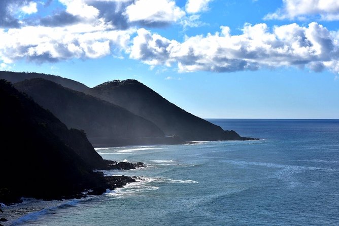 Boutique Great Ocean Road, wildlife and Rainforest Experience - Key Highlights You Should Know Before You Go